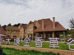 -大塘金香草谷