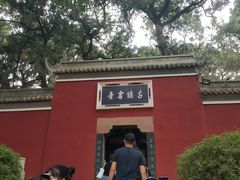 -子昂故里文化旅游区