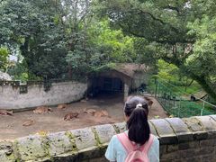 -台州府城(江南长城)