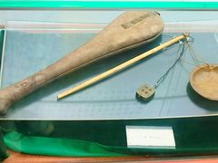 -广州神农草堂中医药博物馆