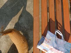 -瓦肆 VAS ear(普陀沪西店)