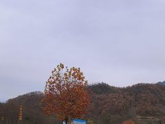 -龙峪湾国家森林公园