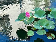 -会稽山峡洞漂流-上青古道