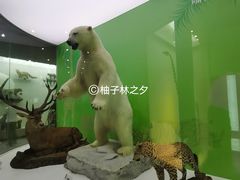 -国家自然博物馆