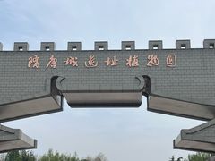 -洛阳市隋唐城遗址植物园