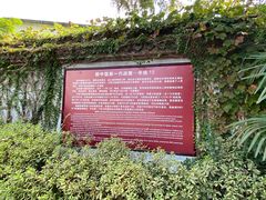 -枫泾古镇-人民公社旧址