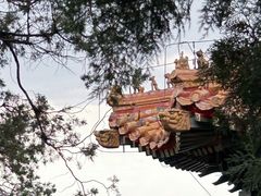 -颐和园-画中游