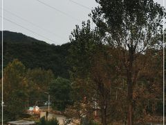 -Local泰莲庭(虹鳟鱼店)