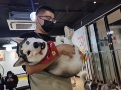 -Husky Go! 哈士奇体验馆·宠物咖啡厅狗咖