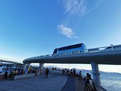 -演武大桥观景平台