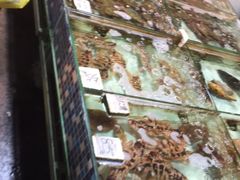 -开禾52阿伟海鲜加工