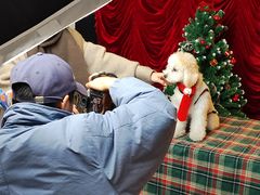 -佛山京华广场MALL