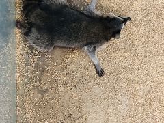 -海合安武汉极地海洋公园