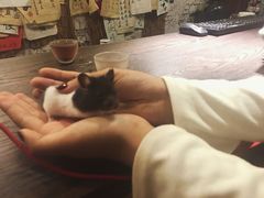 -蘭葶花酒馆(鼓楼店)