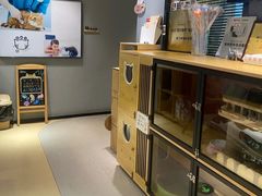 -御宝贝·A梦猫科宠物医院(国际猫友好医院)