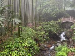 -莫干山风景区