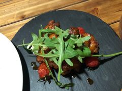 -百好乐宠物友好餐厅(朝外大街店)