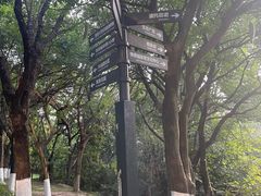 -燕晗山郊野公园