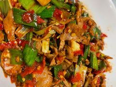 -壹盏灯(惠农店)