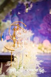 -保定金沙芝柏婚礼策划