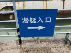-东方绿舟景区