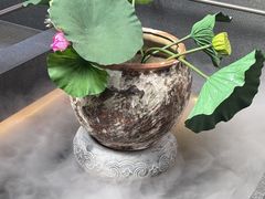 -单家老院·院子里的青岛菜(沙子口店)