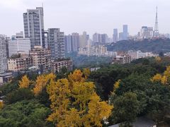 -鹅岭公园瞰胜楼