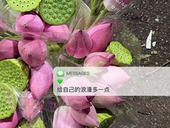 -循礼门鲜花花市(武汉循礼门店)