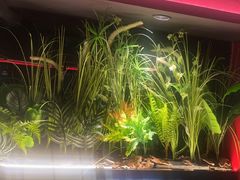 -沪小胖·小龙虾·蓝龙王(八佰伴店)