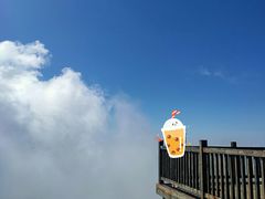 -白草畔自然风景区