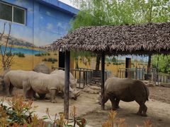 -西安秦岭野生动物园