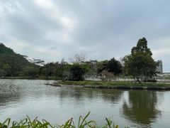 -南沙蒲洲花园