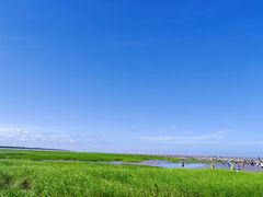-南汇嘴观海公园