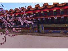 -颐和园