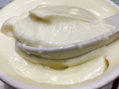 双皮奶-义顺牛奶公司(新马路老店)