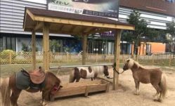 -萌宠亲子动物乐园(槐房万达店)