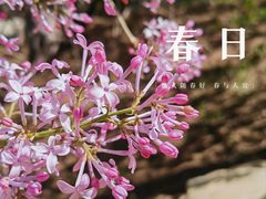 -南湖公园
