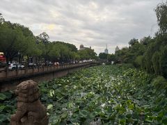 -南通濠河风景名胜区