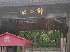 -上海醉白池公园