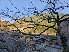 -杨家堂村