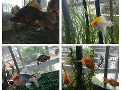 -南通洲际绿博园