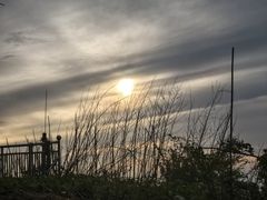 -武陵山森林公园