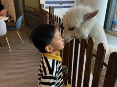 -FAIRYLAND龙族星球主题餐厅(凯丹广场店)