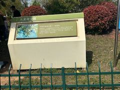-九龙湖公园