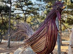 -北京西山国家森林公园