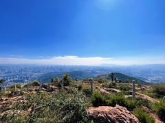 -长虫山生态公园风景林