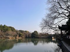 -八大山人梅湖景区
