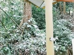 -莫里热带雨林景区