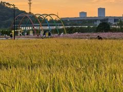 -长洲岛