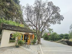 -村上春树
